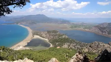 Iztuzu Plajı Gündüz Turistlerin Gece Caretta Carettaların