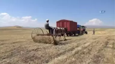 30 Derece Sıcağın Altında Ekmek Mücadelesi