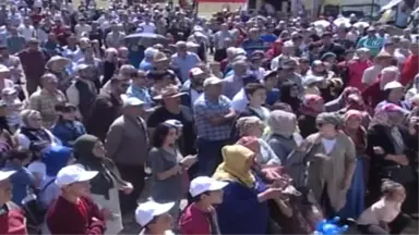 Rize'de Ovit Yayla Şenlikleri Devam Ediyor