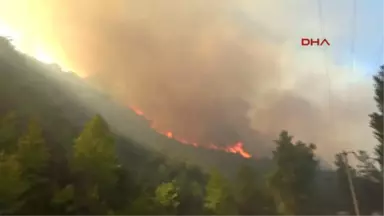 Antalya'da Orman Yangını