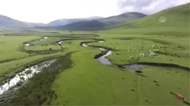 Menderesleriyle Ünlü Yayla Büyülüyor