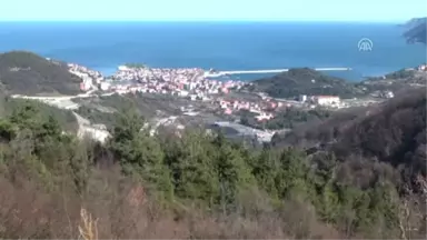 Amasra'da Bayram Tatili Yoğunluğu - Bartın