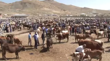 Hayvan Pazarında Kurban Bayramı Yoğunluğu