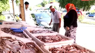 Türkiye'de Balık Tüketimi Dünyanın Gerisinde