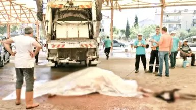 Manisa'da Veremli Kurbanlık Dana Paniği! Polis Bıçakları İmha Etmek İçin Topladı