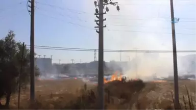 Anız Yangını Büyümeden Söndürüldü