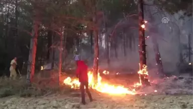 Göynük'te Orman Yangını