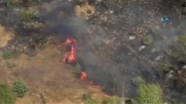 Arazi de Çıkan Yangın Ormana Sıçradı