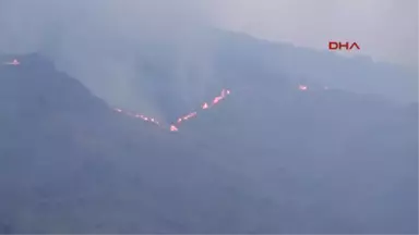 Erzurum Anız Yangını Korkuttu