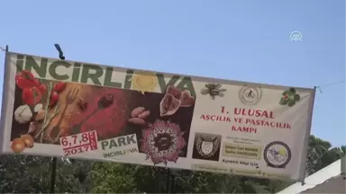 Milli Aşçılardan Pastacılık Kampında Eğitim