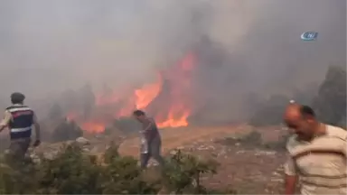 Kütahya'daki Orman Yangını Kontrol Altına Alındı