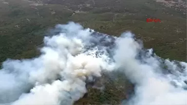 Eskişehir'deki Orman Yangını Kontrol Altında