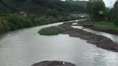 Zonguldak'ta Balık Ölümleri