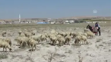 Konya'da Yeni Obruk Oluştu