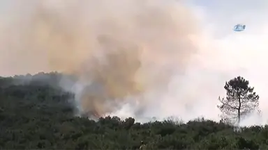 Askeri Kışla İçerisindeki Ormanlık Alanda Yangın