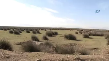 Samsun Cumhuriyet Başsavcı Vekilinin de Katıldığı Fotoğraf Yarışması Başladı