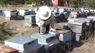 Yozgat Ev Hanımı Sorgunlu Hanımağa, Yılda 1,5 Ton Organik Bal Üretiyor