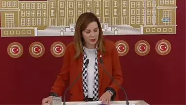 MHP İstanbul Milletvekili Arzu Erdem: 