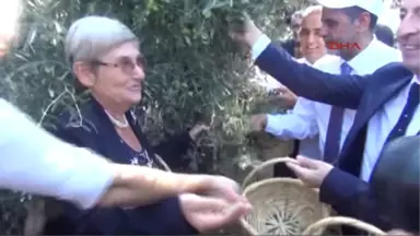 Hatay Canan Karatay Zeytin ve Zeytinyağı Tüketen Hastalanmaz