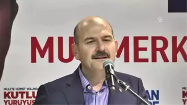 Soylu: 