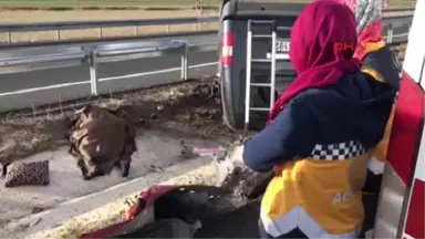 Erzurum Bariyere Çarpan Araçtan Fırlayan 1 Kişi Öldü, 2 Kişi Yaralandı