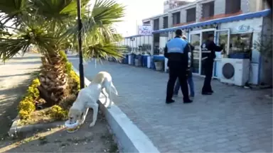 Burhaniye'de Belediye Ekipleri Makinesiz Yıkım Yaptı