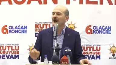 Soylu: 