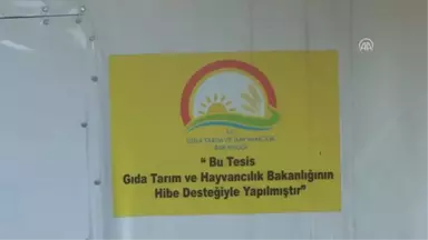 Hayalindeki İşe 