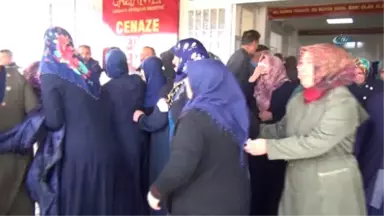 Kanseri Yendi Kazada Öldü