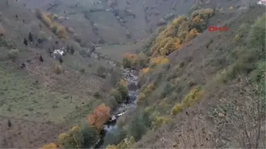 Ordu Turnasuyu Vadisi'nde Renk Cümbüşü