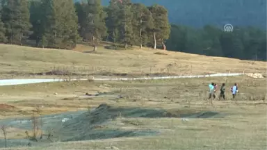 Ayakta Durması Şaşırtıcıydı, Şimdi Yakalanamıyor - Bolu