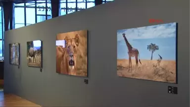 Oyuncu Engin Altan Düzyatan'ın Afrika'da Çektiği Fotoğraf Sergisi Açıldı