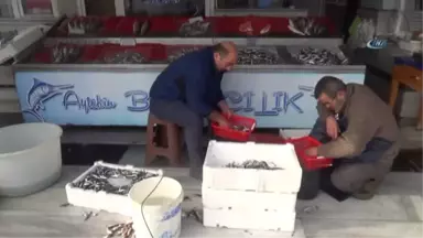 Olumsuz Hava Şartları Balık Tezgahlarını Boş Bıraktı