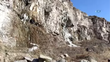 Ardahan'da Soğuk Hava Nedeniyle Şelale Dondu