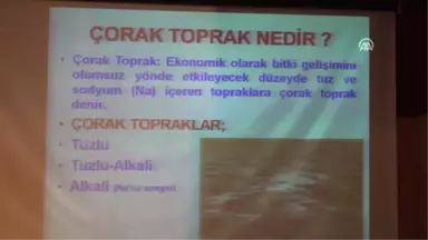 Çorak Toprakların Islahı ve Tarımsal Üretimde Kullanma Olanakları