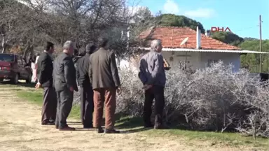 Muğla Çam Ağaçlarının Kesileceği Endişesini Yaşayan Gökgediklileri Sevindiren Karar