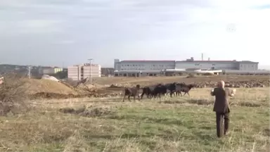 Mandalar Üniversite Yerleşkesini Mesken Tuttu