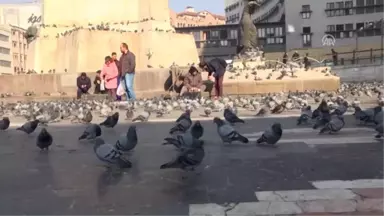 Ankaralılar, Aa'nın Foto Muhabirlerinin Çektiği Fotoğraflar İçin Oy Kullandı