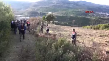 Bartın Amasra'da Termik Santral İçin Zeytin Ağaçlarının Sökülmesine Tepki