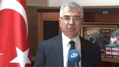 Prof. Arı: 