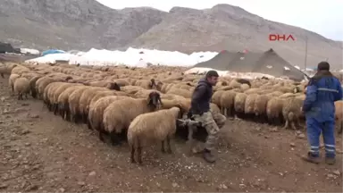 Batman Göçerler Yağış Olsun Diye Dua Ediyor