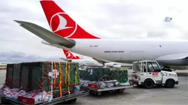 Turkish Cargo Çin'e Penguen ve Aslan Taşıdı