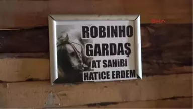 Sivas Yeni Aldığı Atına 'Robinho Gardaş' İsmini Verdi