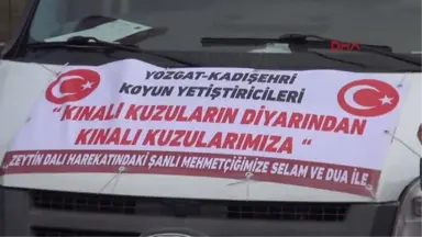 Yozgat-Yozgatlı Çobanlardan 'Zeytin Dalı Harekatı'na 41 Kınalı Kurban Hediye Edildi-hd