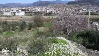 Düşen İlk Cemre Antalya'ya Baharı Getirdi