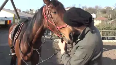 Binicilik Sporuna Merakları İş Kapısı Odu