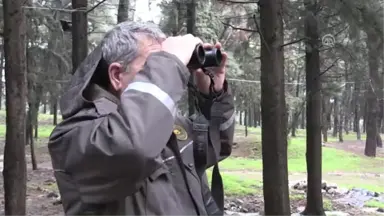 Kaçak Avcıların İzini Sosyal Medyada Sürüyorlar