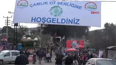 Muğla Bodrum'da Renkli Ot Şenliği