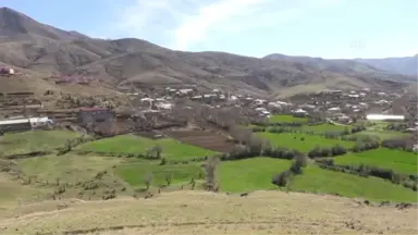 Zeytin Dalı Harekatı'na Türk Bayraklı Destek