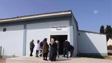 Mantar Üretimi Mükemmeliyet Merkezi